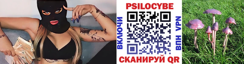 Галлюциногенные грибы GOLDEN TEACHER  Железногорск-Илимский 